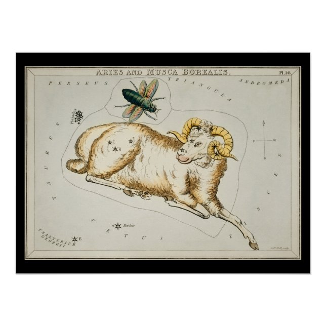 Poster Antique Astronomie Graphique Astronomique Zodiac (Devant)