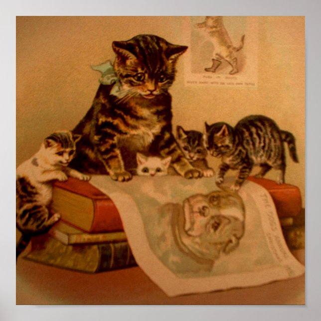 Poster Antique Kittens & Books Kitty School (Devant)