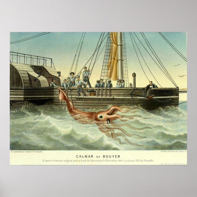 Poster Antique Navire Capturer des calamars géants (Devant)