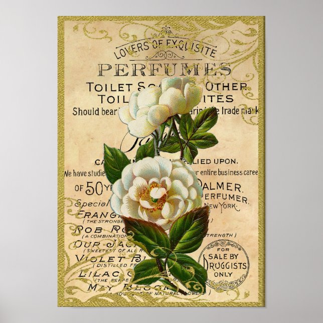 Poster Antique Roses Perfume (Devant)