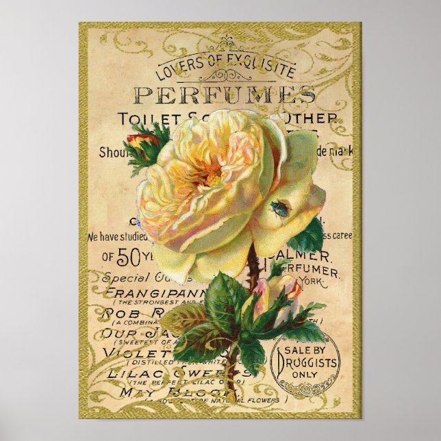 Poster Antique Roses Perfume Butterflies (Devant)
