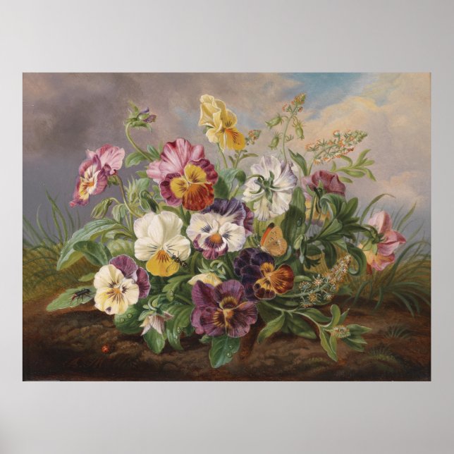 Poster Anton Mollis Vintage Pansy (Devant)