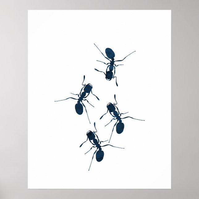 Poster Ants (homonymie) (Devant)