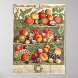 Poster Août, "Douze mois de fruits"