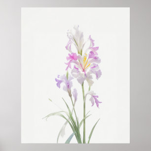 Poster Août Gladiolus Fleur de naissance