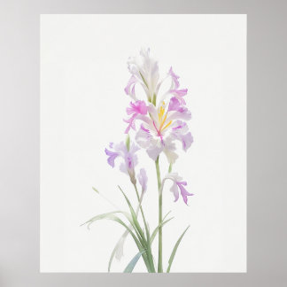 Poster Août Gladiolus Fleur de naissance