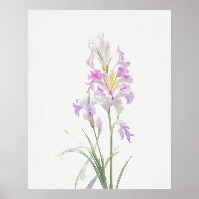 Poster Août Gladiolus Fleur de naissance (Devant)