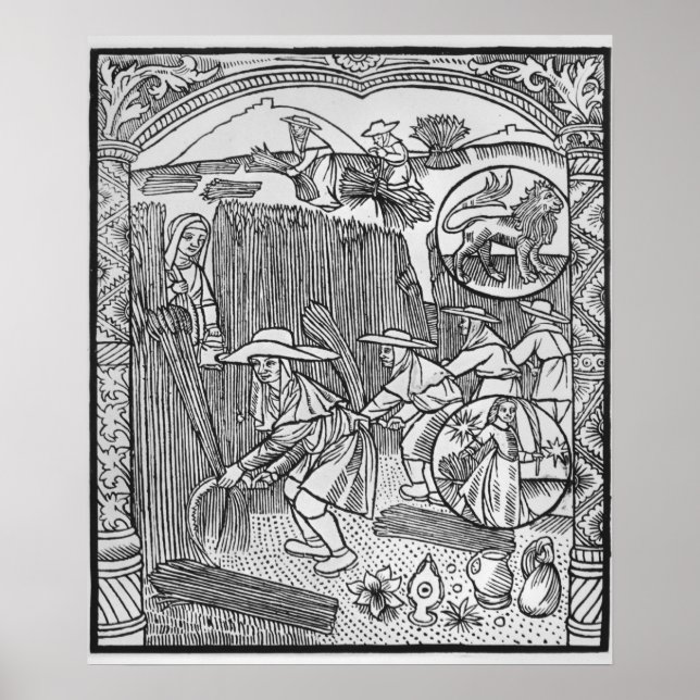 Poster Août, récolte, Leo (Devant)