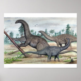 Poster Apatosaure et Brontosaurus Imprimer