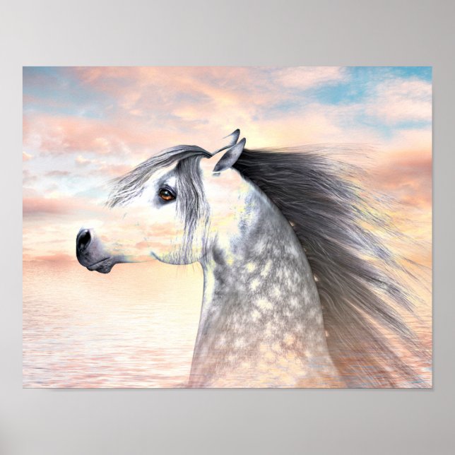 Poster Appaloosa (Devant)