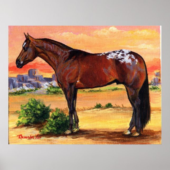 Poster Appaloosa Profil Cheval Portrait (Devant)