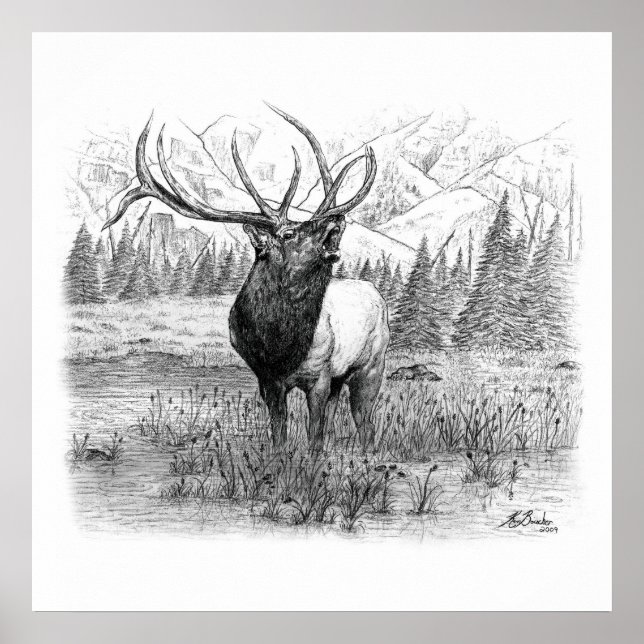 Poster Appel du roi (Devant)