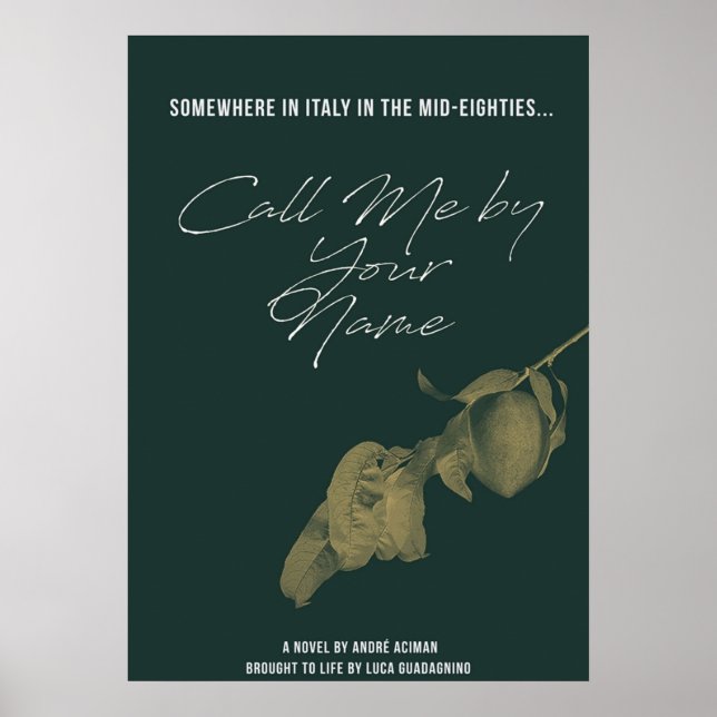 Poster Appelez-moi par votre nom 2 (Devant)