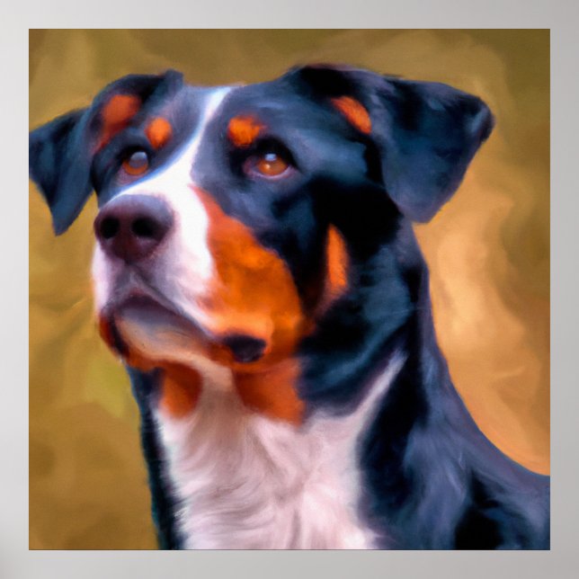 Poster Appenzeller Sennenhund - Portrait de chien (Devant)