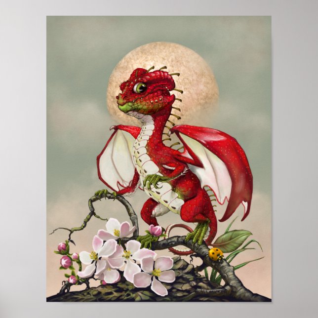 Poster Apple Dragon 11x14 (4x6 et supérieur) (Devant)