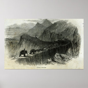 Poster Apport des armes à feu