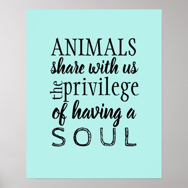 Poster Appréciation animale (Devant)