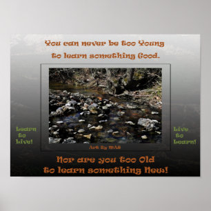 Poster Apprendre à vivre en direct pour apprendre 2