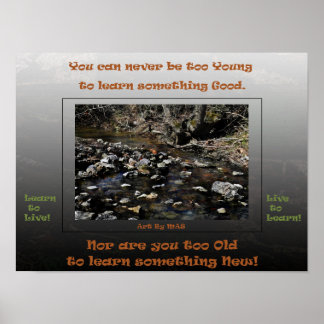 Poster Apprendre à vivre en direct pour apprendre 2