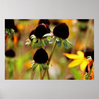 Poster Approches d'automne