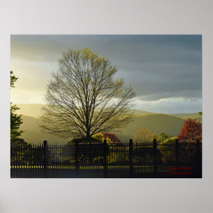 Poster Après la pluie