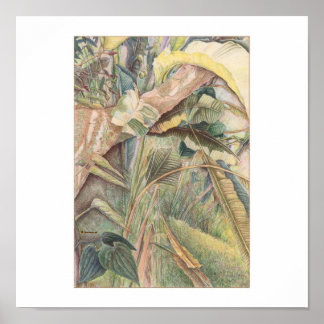 Poster Après la pluie © 2010