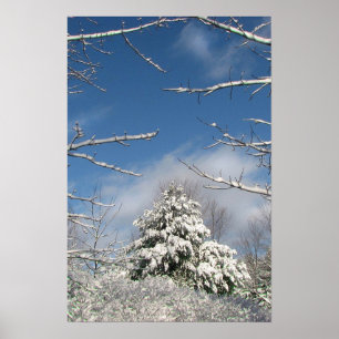 Poster Après la tempête