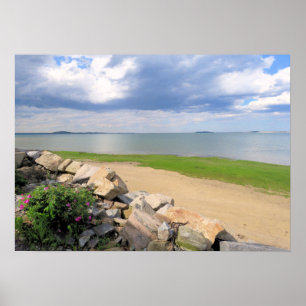 Poster Après la tempête de pluie - imprimer