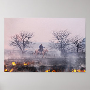 Poster Après le feu des Prairies, Flint Hills, Kansas