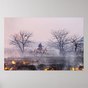 Poster Après l'incendie de la prairie, Flint Hills, Kansa