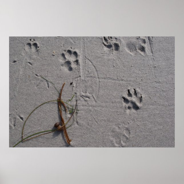 Poster Après-midi (Devant)