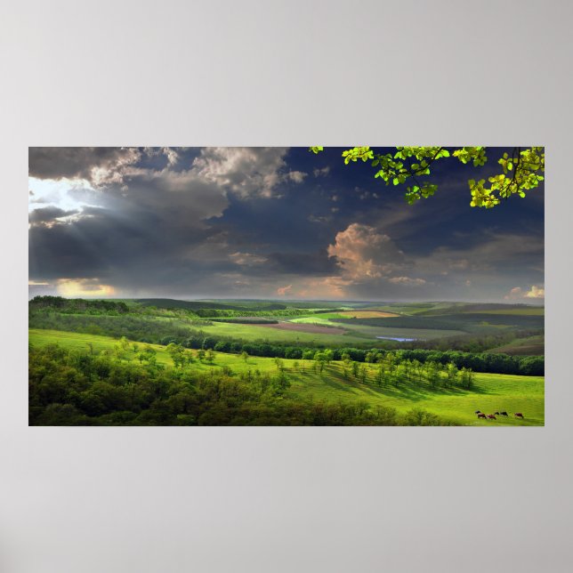 Poster Après-midi calme (Devant)