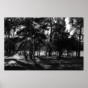 Poster Après-midi dans le parc