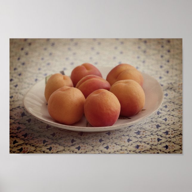 Poster Apricots sur plaque (Devant)