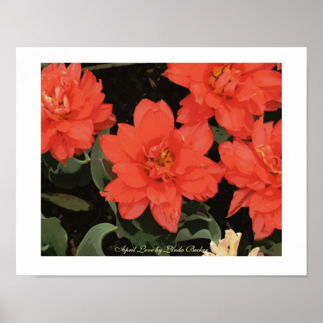 Poster April Love par Linda Becker (Devant)