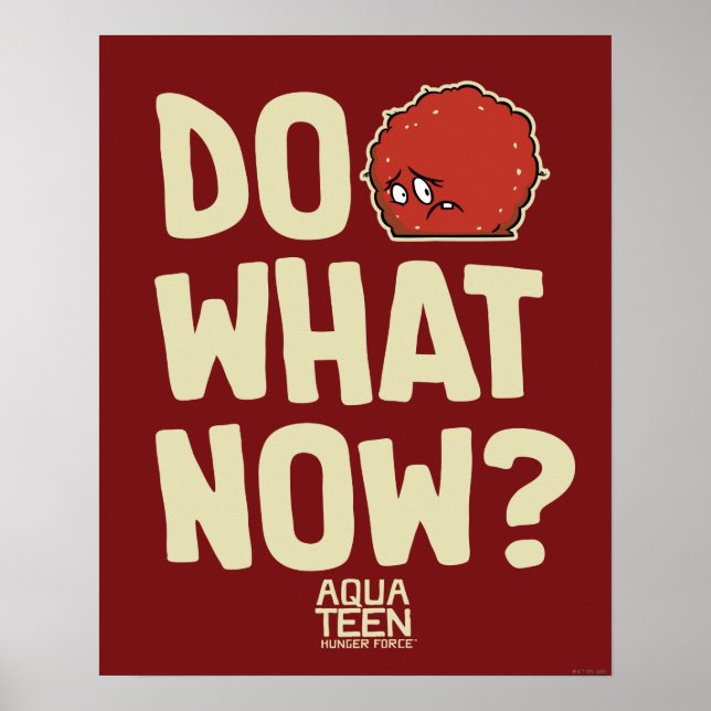 Poster Aqua Teen Hunger Force Meatwad "Do What Now ?" (Devant)