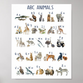 Poster Aquarelle Abc Animaux