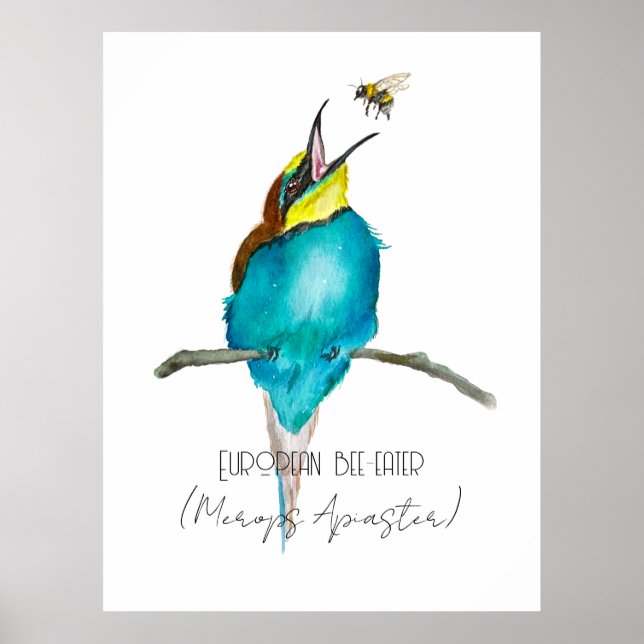 Poster Aquarelle (Abeille européenne) (Devant)