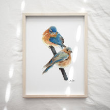 Aquarelle Bluebird Couple Art Imprimer