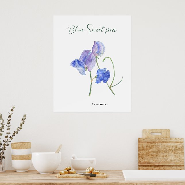 Poster Aquarelle botanique de fleurs douces bleues (Cuisine)