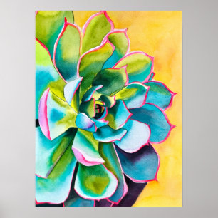 Poster Aquarelle botanique succulent