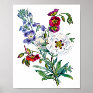 Poster Aquarelle Bouquet vintage