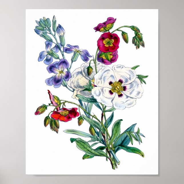 Poster Aquarelle Bouquet vintage (Devant)