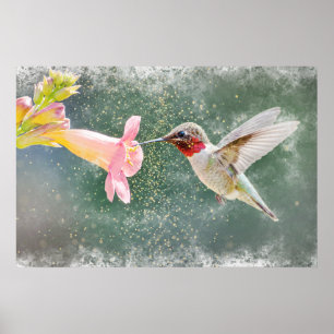 Poster Aquarelle brillante pour le nectar des colibris