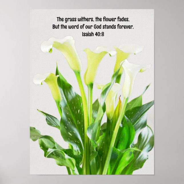 Poster Aquarelle Calla Lily Fleurs Bible Verse Art (Devant)
