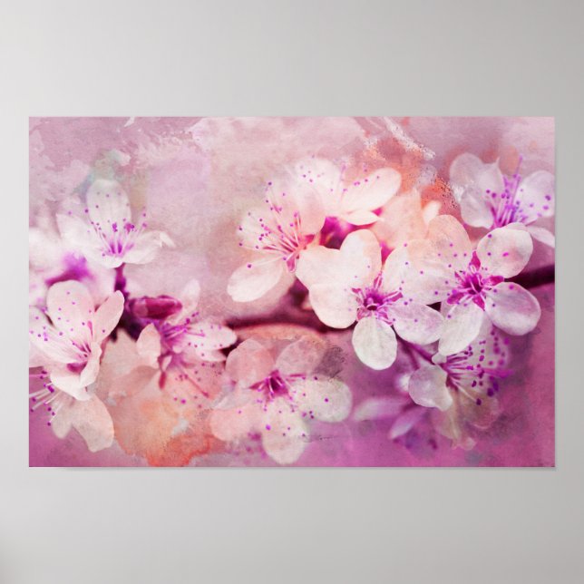 Poster Aquarelle Cherry Blossom (Devant)