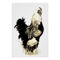 Aquarelle Coq Blanc Noir Poulet Ferme Oiseau
