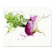 Aquarelle Cuisine végétale art, Turnip