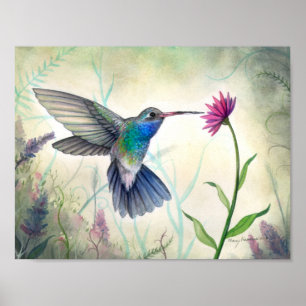 Poster Aquarelle de colibri et de fleurs de nectar doux