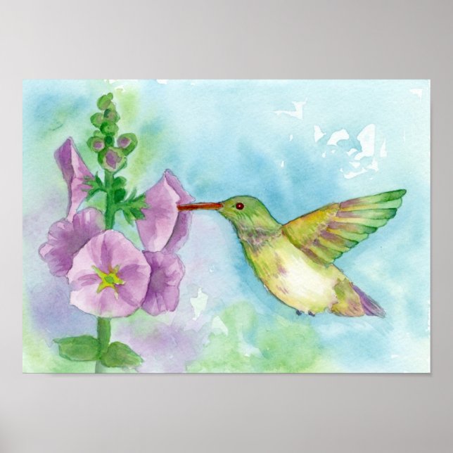 Poster Aquarelle de colibri rose Hollyhock Fleurs (Devant)